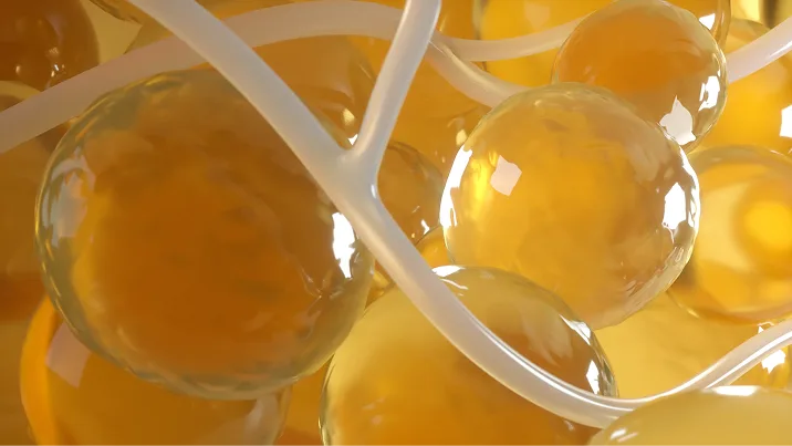 Video showing process of freezing fat cells
