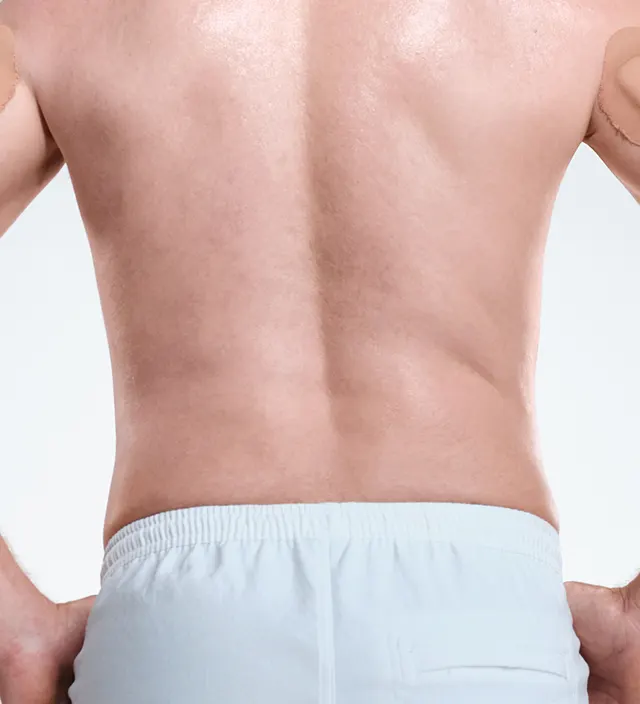 Zoomed-in image of model's flanks