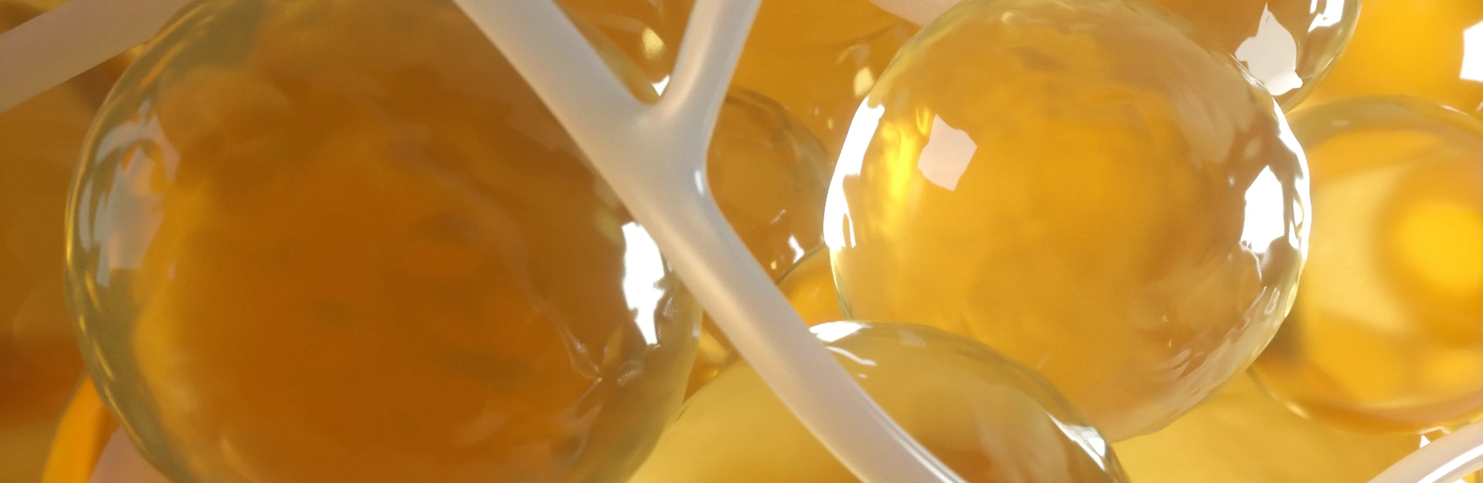 Video showing process of freezing fat cells