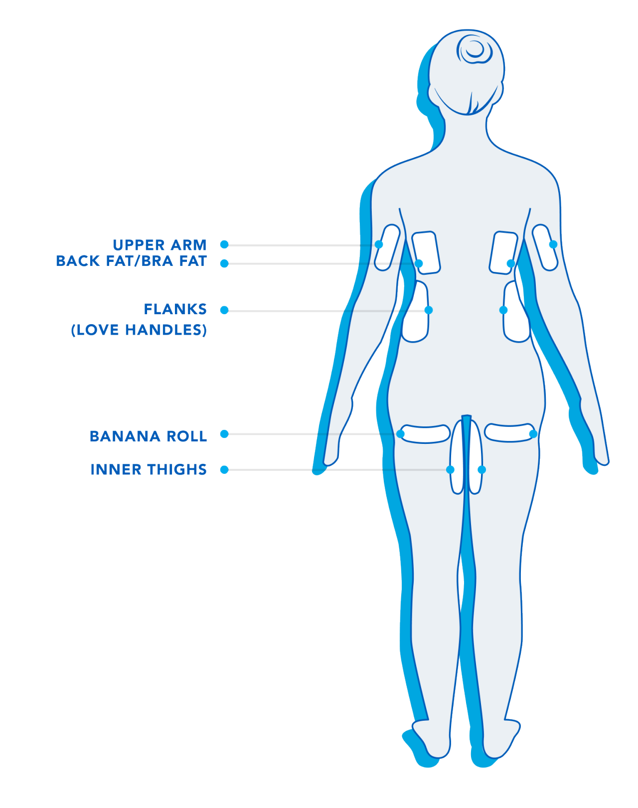 Female - BackSide HowCTWorks