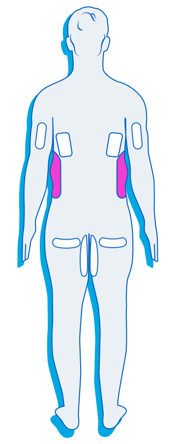 Male Back
