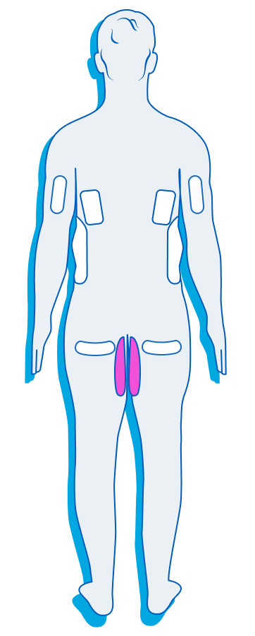 Male Back