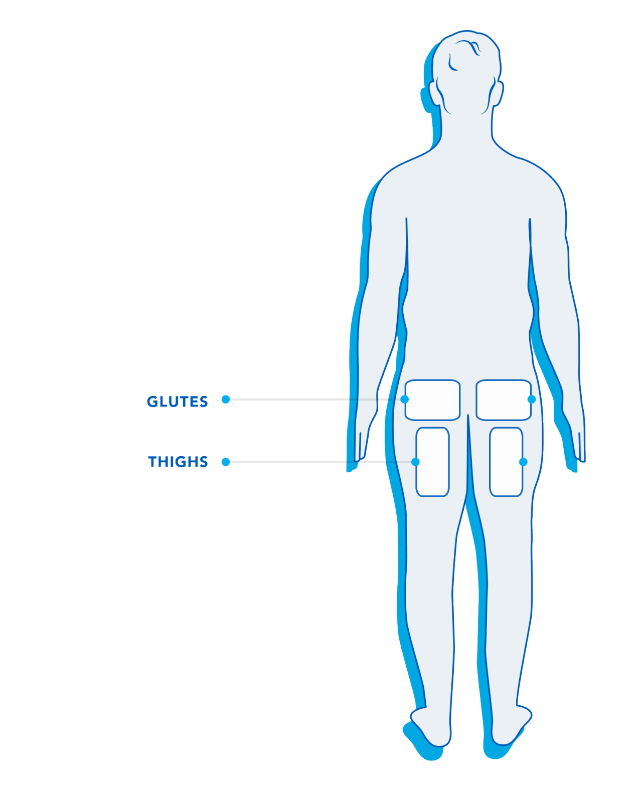 Male - BackSide HowCTWorks